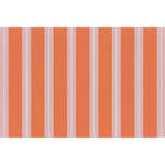 Orange Stripe