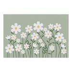 Daisies