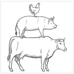 Farm Animals