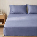 Mineral Blue