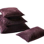 Mulberry