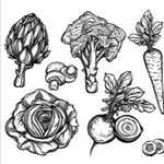 Vegetables